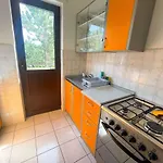 Apartamento In 41879